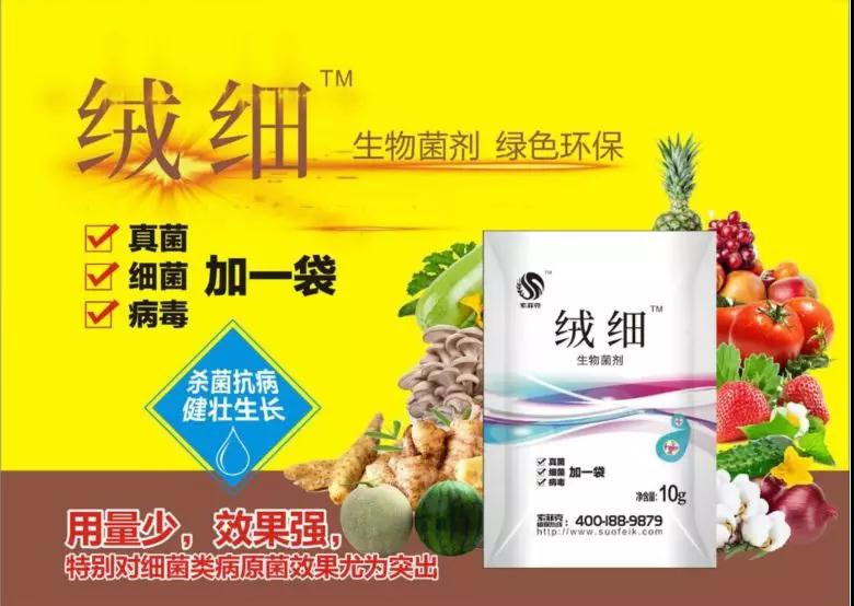 微信图片_20191202190037.jpg