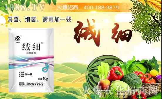 微信图片_20191202185654.jpg