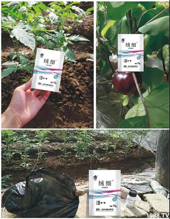 1575280922801009092.jpg 微信图片_20191202185740.jpg