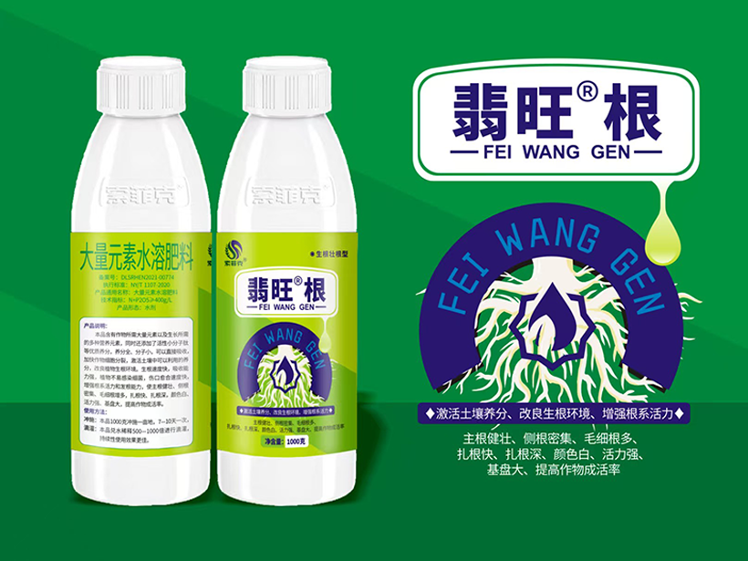 翡旺根壮根.png